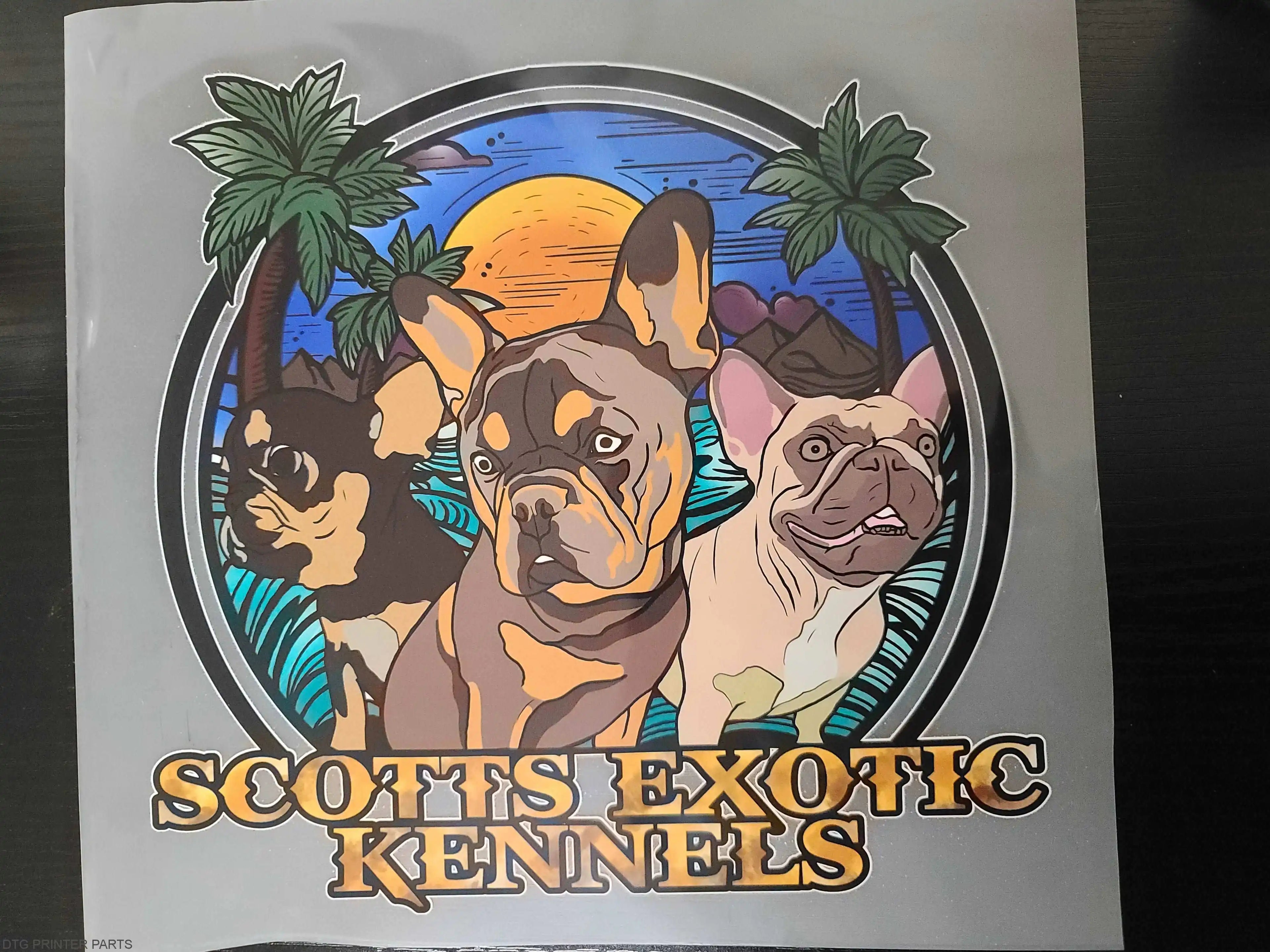 11-3/4 x 16-1/2 (30 CM X 42 CM) A3 COWINT DTF PREMIERE DIRECT TO FILM Transfer Film Sheets (HOT PEEL) DTG / DTF INK COMPATIBLE